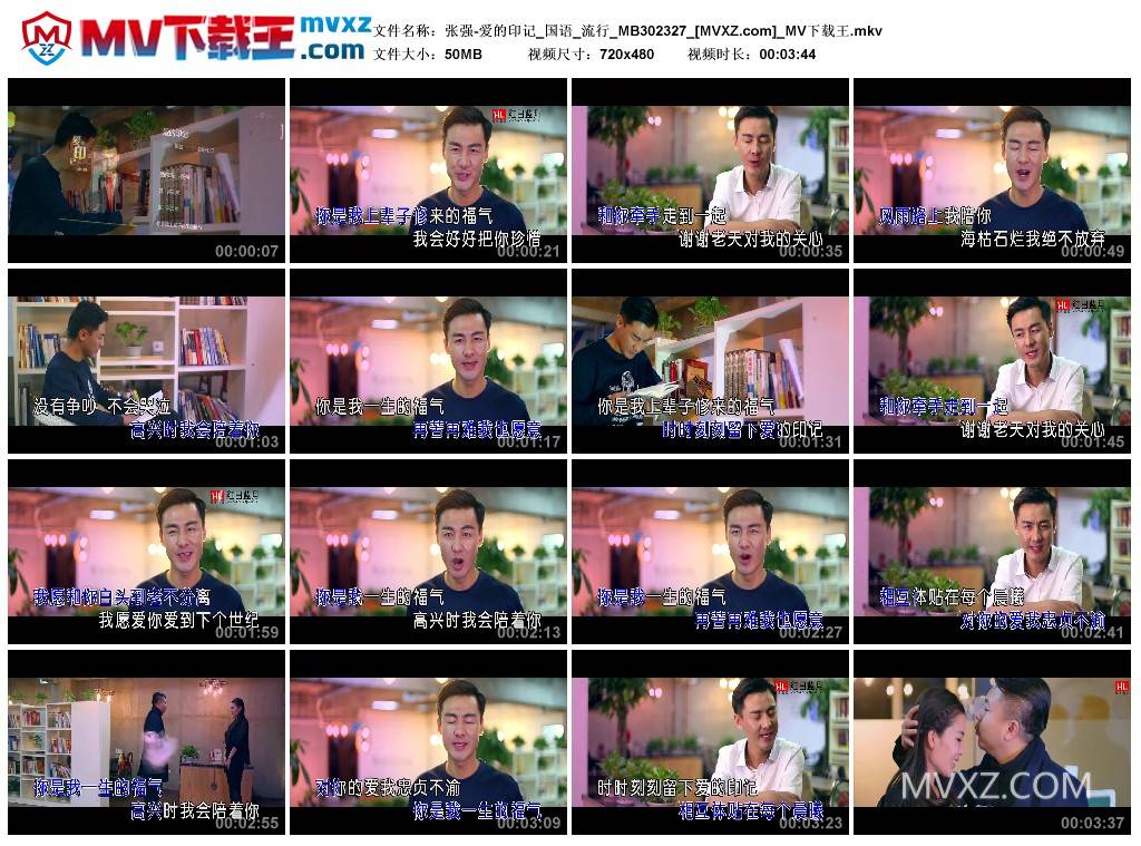 张强-爱的印记_国语_流行_MB302327